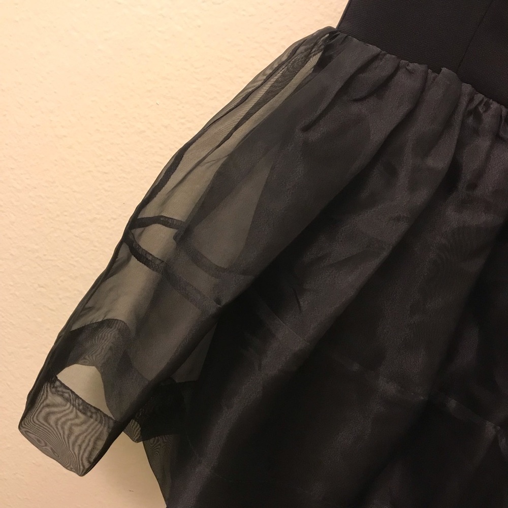 Windsor Black Semi-Sheer Poofy Dress - Picture 6 of 8